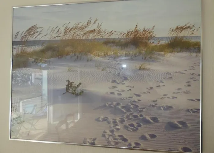 Appartement 2 Pour 6 Pers A Dame De Monts - Fr-1-540-4 Notre-Dame-de-Monts