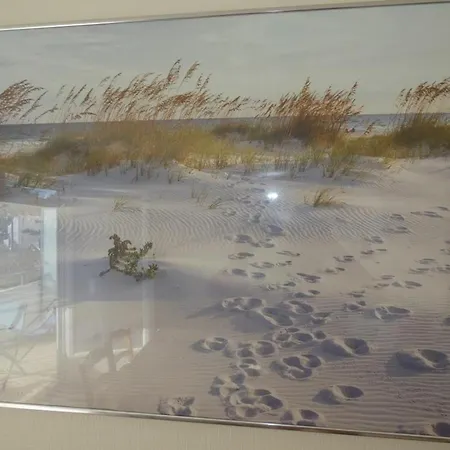 Apartment 2 Pour 6 Pers A Dame De Monts - Fr-1-540-4 Notre-Dame-de-Monts